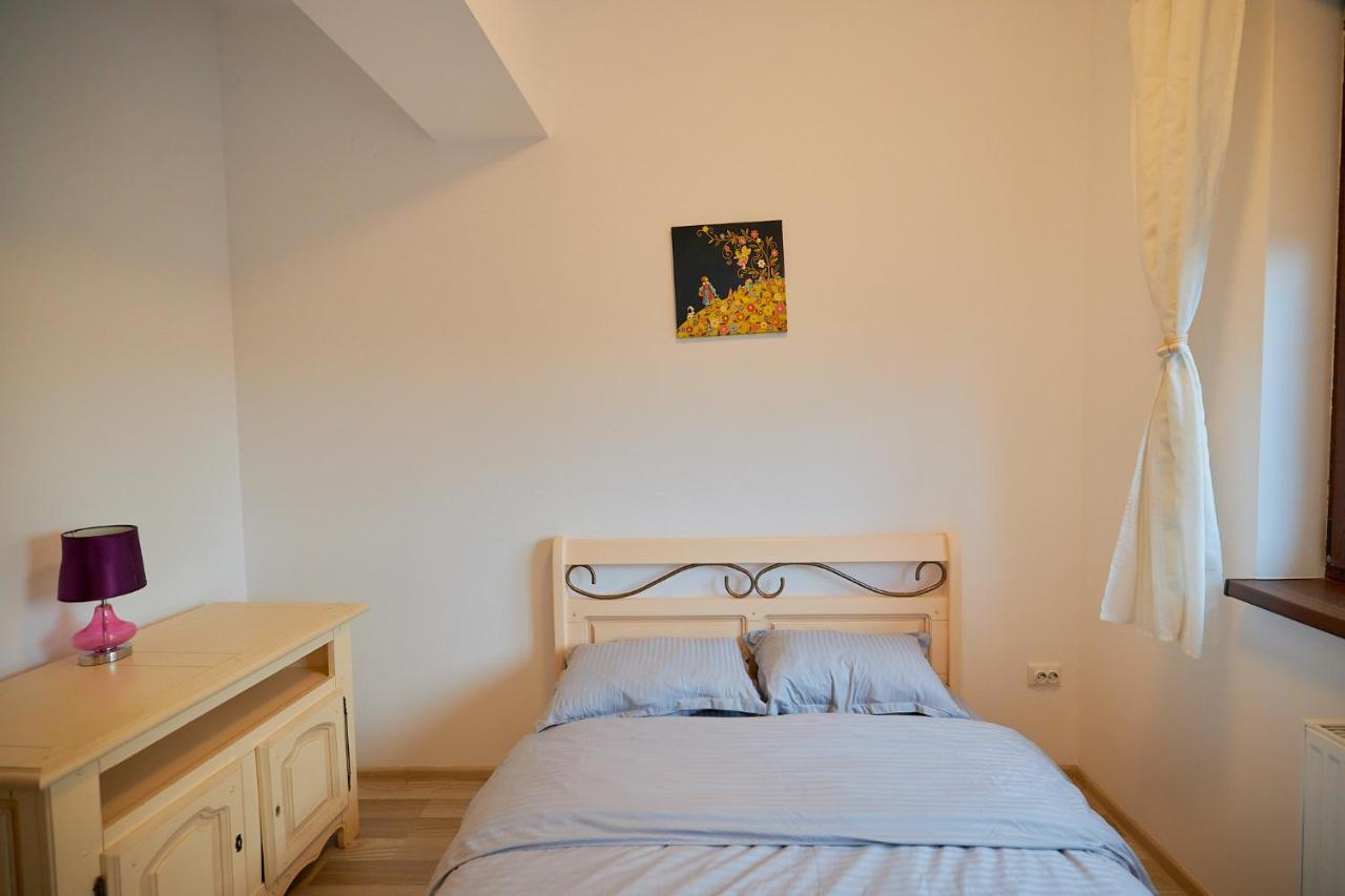 Cozy 3 Bedroom Apartments In Centre Of Iasi Palas Mall 외부 사진