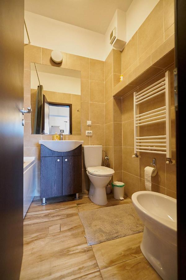 Cozy 3 Bedroom Apartments In Centre Of Iasi Palas Mall 외부 사진