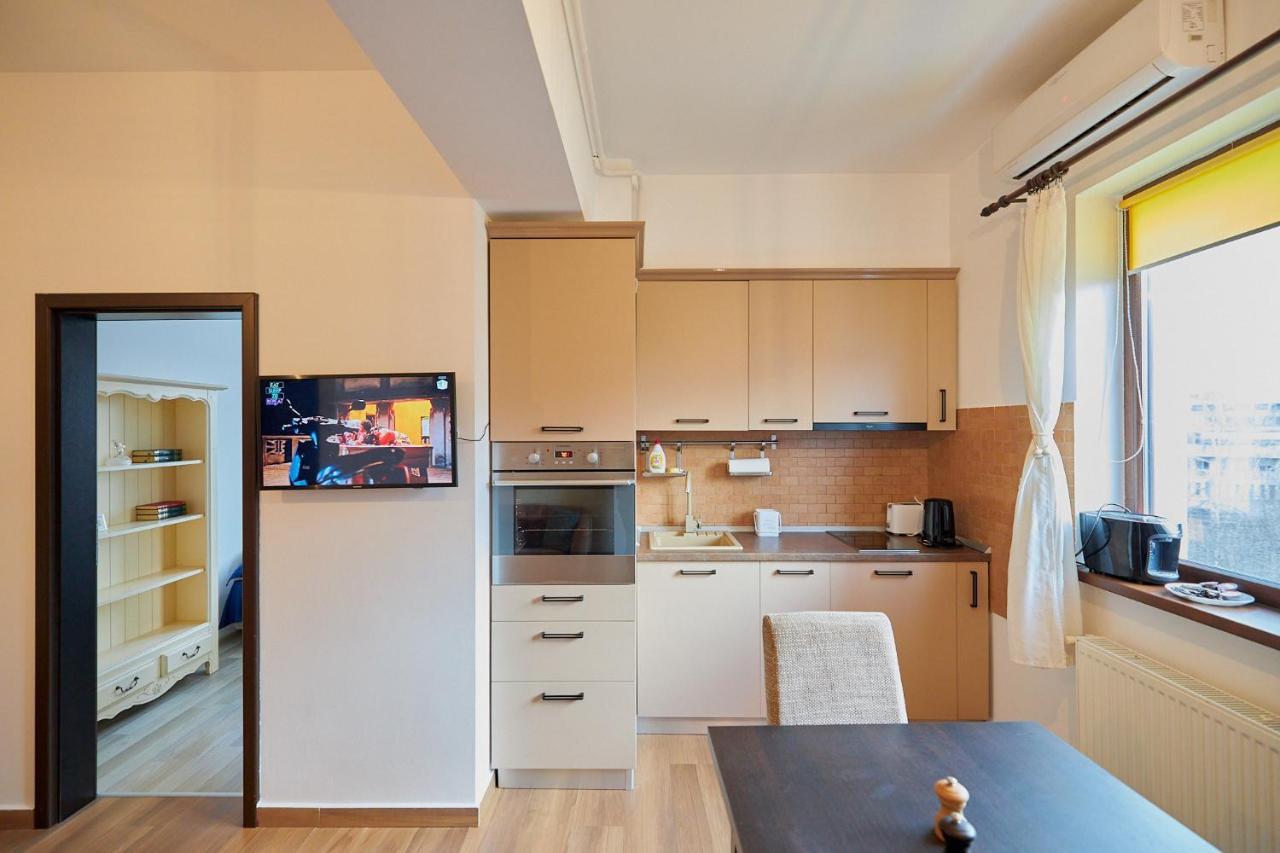 Cozy 3 Bedroom Apartments In Centre Of Iasi Palas Mall 외부 사진