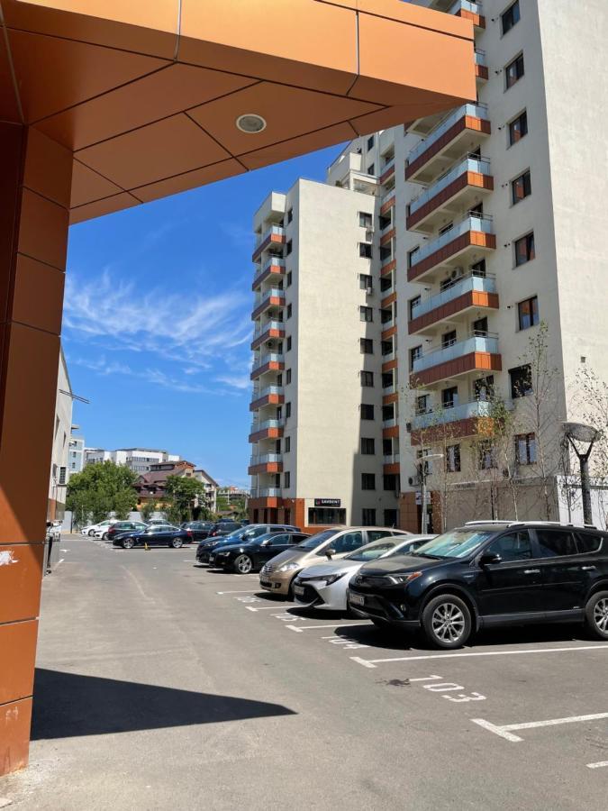Cozy 3 Bedroom Apartments In Centre Of Iasi Palas Mall 외부 사진